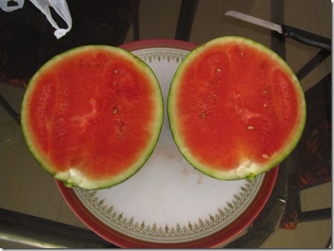 sugar baby water melon