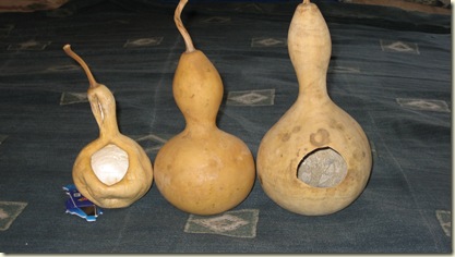 Gourd Pictures 012