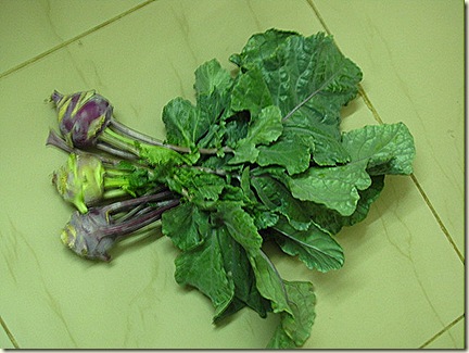 MyGarden 1239