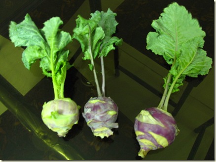 MyGarden 1242