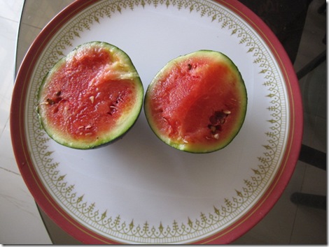 sugar baby water melon
