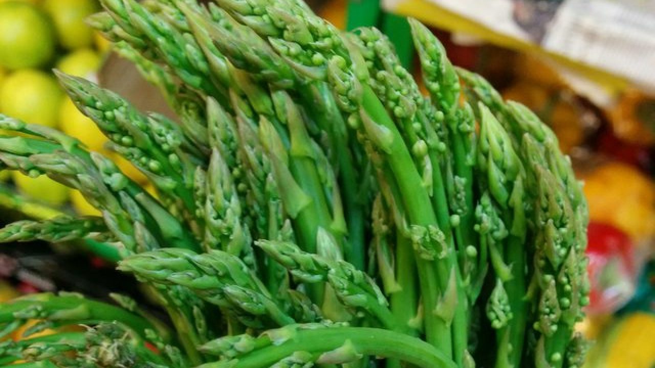 How To Grow Asparagus At Home In Hindi Asparagus Ndtv Food Because