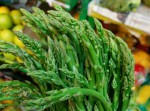 Growing Asparagus - How to grow Asparagus