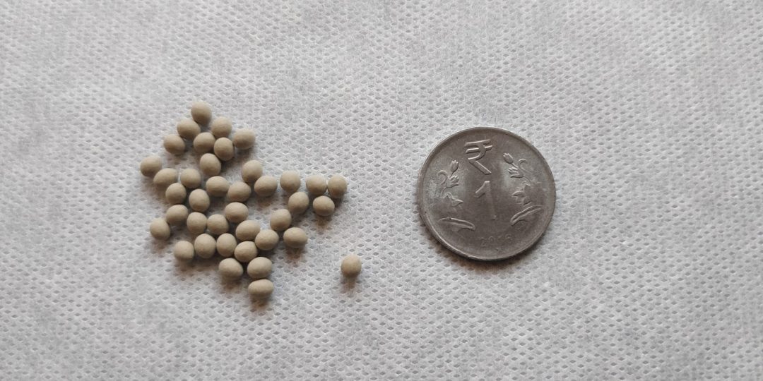 pelletedseedspelletedlettuceseedsindia GEEKGARDENER