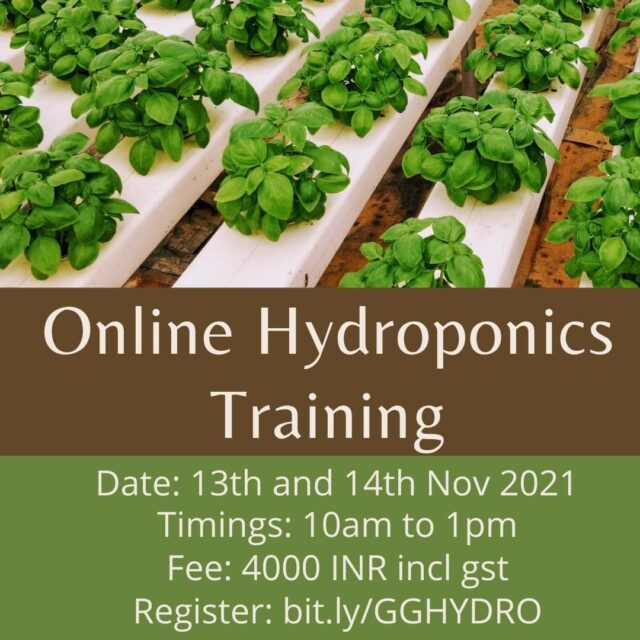 Online Hydroponics training - Batch 2

The second batch of online training is here. 

The first batch was a great success. We had two farm visits and that too one of that is a commercial farm tour.

A solid foundation makes for an excellent understanding of any topic and Hydroponics is No different.

With ths course, you will be able to achieve

- Have a strong hold on the fundamentals of growing plants.
- Understand plant science better and take impactful decisions
- Appreciate Hydroponics as a technology and understand how to use it.
- Have a thorough understanding of different hydroponics systems and their usage
- Better crop planning for production (home garden or farm)
- Failsafe business planning on commercial Hydroponics.
- Launch a business in Hydroponics

#hydroponicstraining #hydroponicsworkshop #onlinetraining #hydroponics101 #hydroponicsindia #urbanfarming #plantaseedday #growyourownfood #hydroponicsclasses #hydroponicscoach #biggreen #learnhydroponics
#agritech #agtech #horticulture
#hydroponicsystem #greenhousegrown #plantaseedday #foodsecurity #iamamodernfarmer #modernfarming #growers #urbanagriculture #growingfood #realfood #cleaneating #plantbased