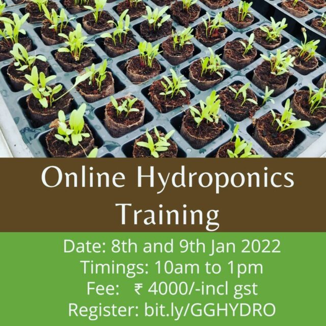 Batch 4 is here. 

Happy new year 2022 people!

Happy to announce thar our batch 4 training session is scheduled on 8th and 9th of January 2022.

With this course, you will be able to achieve

- Have a strong hold on the fundamentals of growing plants.
- Understand plant science better and take impactful decisions
- Appreciate Hydroponics as a technology and understand how to use it.
- Have a thorough understanding of different hydroponics systems and their usage
- Better crop planning for production (home garden or farm)
- Failsafe business planning on commercial Hydroponics.
- Launch a business in Hydroponics

#hydroponicstraining #hydroponicsworkshop #onlinetraining #hydroponics101 #hydroponicsindia #urbanfarming #plantaseedday #growyourownfood #hydroponicsclasses #hydroponicscoach #biggreen #learnhydroponics
#agritech #agtech #horticulture
#hydroponicsystem #greenhousegrown #plantaseedday #foodsecurity #iamamodernfarmer #modernfarming #growers #urbanagriculture #growingfood #realfood #cleaneating #plantbased