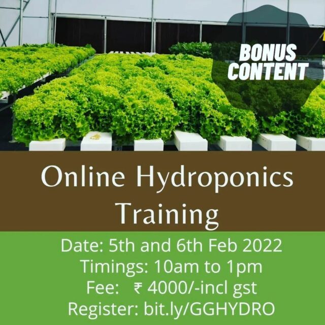 Excited to announce thar our batch 5 training session is scheduled on 5th and 6th of February 2022.

In this batch, we are also adding the following bonus content
1. Checklists for starting a commercial farm.
2. Checklists of home garden.

With this course, you will be able to achieve

- Have a strong hold on the fundamentals of growing plants.
- Understand plant science better and take impactful decisions
- Appreciate Hydroponics as a technology and understand how to use it.
- Have a thorough understanding of different hydroponics systems and their usage
- Better crop planning for production (home garden or farm)
- Failsafe business planning on commercial Hydroponics.
- Launch a business in Hydroponics

#hydroponicstraining #hydroponicsworkshop #onlinetraining #hydroponics101 #hydroponicsindia #urbanfarming #plantaseedday #growyourownfood #hydroponicsclasses #hydroponicscoach #biggreen #learnhydroponics
#agritech #agtech #horticulture
#hydroponicsystem #greenhousegrown #plantaseedday #foodsecurity #iamamodernfarmer #modernfarming #growers #urbanagriculture #growingfood #realfood #cleaneating #plantbased