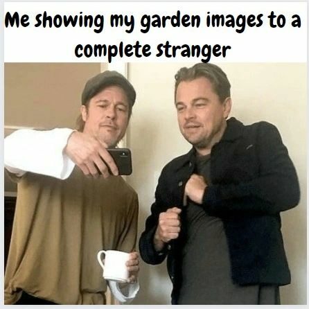 Signs of a true gardener 😂

Be honest!  Have you done this?

Which one are you. Brad or Leo
.
.
.
.
.
.
.
.
.
.

#friyay #gardening #gardenmemes #instamemes 
#gardenersofbangalore 
#hyperfarms #hydroponics
#hydroponicstraining #hydroponicsworkshop #onlinetraining #hydroponics101 #hydroponicsindia #urbanfarming #plantaseedday #growyourownfood #hydroponicsclasses #hydroponicscoach #biggreen #learnhydroponics
#agritech #agtech #horticulture
