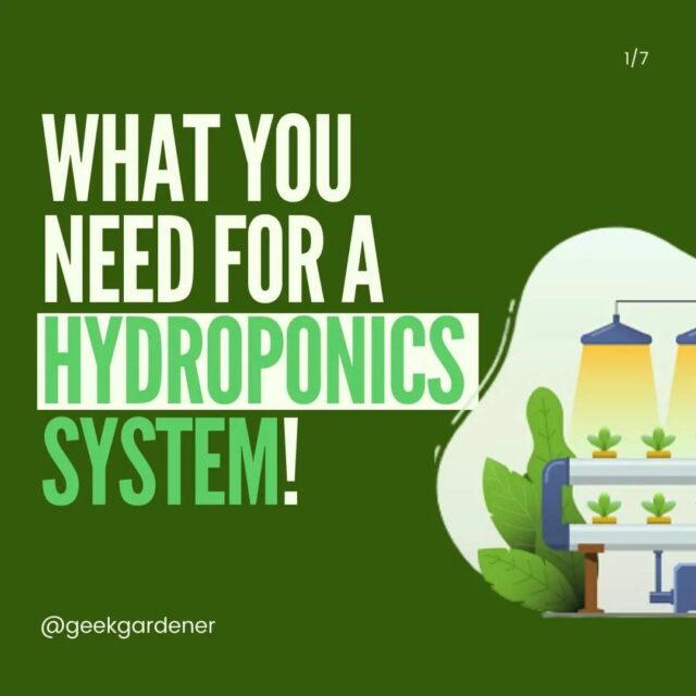 Are you looking forward to having a hydroponic system?🤔

Here is a list things you will need.💁

Hydroponic plants can be very cost-effective, low-maintenance, and versatile, because of vertical designs and space-saving options.

Swipe right to find out more⬅️

And hit a like if you found it helpful❤️
.
.
.
.
.
.
.
.
.

.
#nutrients #light #farming #freshwater #oxygen #rootsupport #hydroponics #hydroponic #hydroponicsindia #hydroponicgarden #hydroponicfarming #hydroponicfarm #growyourownfood #hyperfarmsexperiencecentre #hyperfarms #gardening #gardenguru  #gardenguruinpractice #geekgardener  #hydroponicsystem #hydroponics🍃  #agritech #modernfarmer #growyourfood