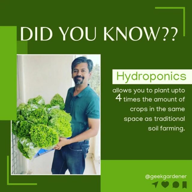 Growing crops using hydroponics has numerous advantages over traditional soil methods.🌿💧

The primary benefit of using the Hydroponics technique is that it allows us to grow more produce in a smaller space and with less water than traditional farming.🤩

Follow to learn more about Hydroponics 🙌

#spaceefficient #growth #didyouknow #facts💯 #hydroponics #hydroponic #hydroponicsindia #hydroponicgarden #hydroponicfarming #hydroponicfarm #growyourownfood #hyperfarmsexperiencecentre #hyperfarms #gardening #gardenguru  #gardenguruinpractice #geekgardener  #hydroponicsystem #hydroponicvegetables #hydroponicstore #hydroponics🍃 #commercialfarm #agritech #modernfarmer #growyourfood