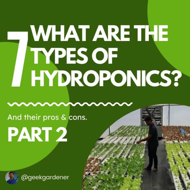 Here is a PART 2 of Types of hydroponics system 🙌

Choosing your hydroponic systems is an important decision.💯

Keep in mind the type of plant you're growing, the amount of space you have, and how much customization you want to do.✅

Save this for later💫
.
.
.
.
.
.
.
.

.
#hydroponicsystem #substrateculture #aeroponics #dripsystem #deepwaterculture #hydroponics #hydroponic #hydroponicsindia #hydroponicgarden #hydroponicfarming #hydroponicfarm #growyourownfood #hyperfarmsexperiencecentre #hyperfarms #gardening #gardenguru #gardenguruinpractice #geekgardener #hydroponicsystem #hydroponics🍃 #agritech #modernfarmer #growyourfood