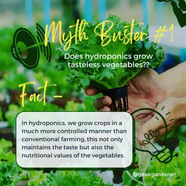 Myth buster series
In fact, crops grown in a hydroponic system are, better in taste and safer to eat.✅💯

Follow to learn more about Hydroponics 🙌
.
.
.
.
.
.
.
.

#nutritious #didyouknow #facts💯 #hydroponics #hydroponic #hydroponicsindia #hydroponicgarden #hydroponicfarming #hydroponicfarm #growyourownfood #hyperfarmsexperiencecentre #hyperfarms #gardening #gardenguru #gardenguruinpractice #geekgardener #hydroponicsystem #hydroponicvegetables #hydroponicstore #hydroponics🍃 #commercialfarm #agritech #modernfarmer #growyourfood