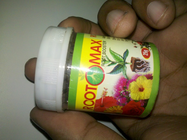 Rootomax rooting hormone – GEEKGARDENER